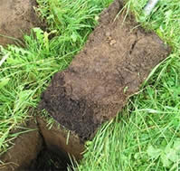 Fertilised Soil Cover
